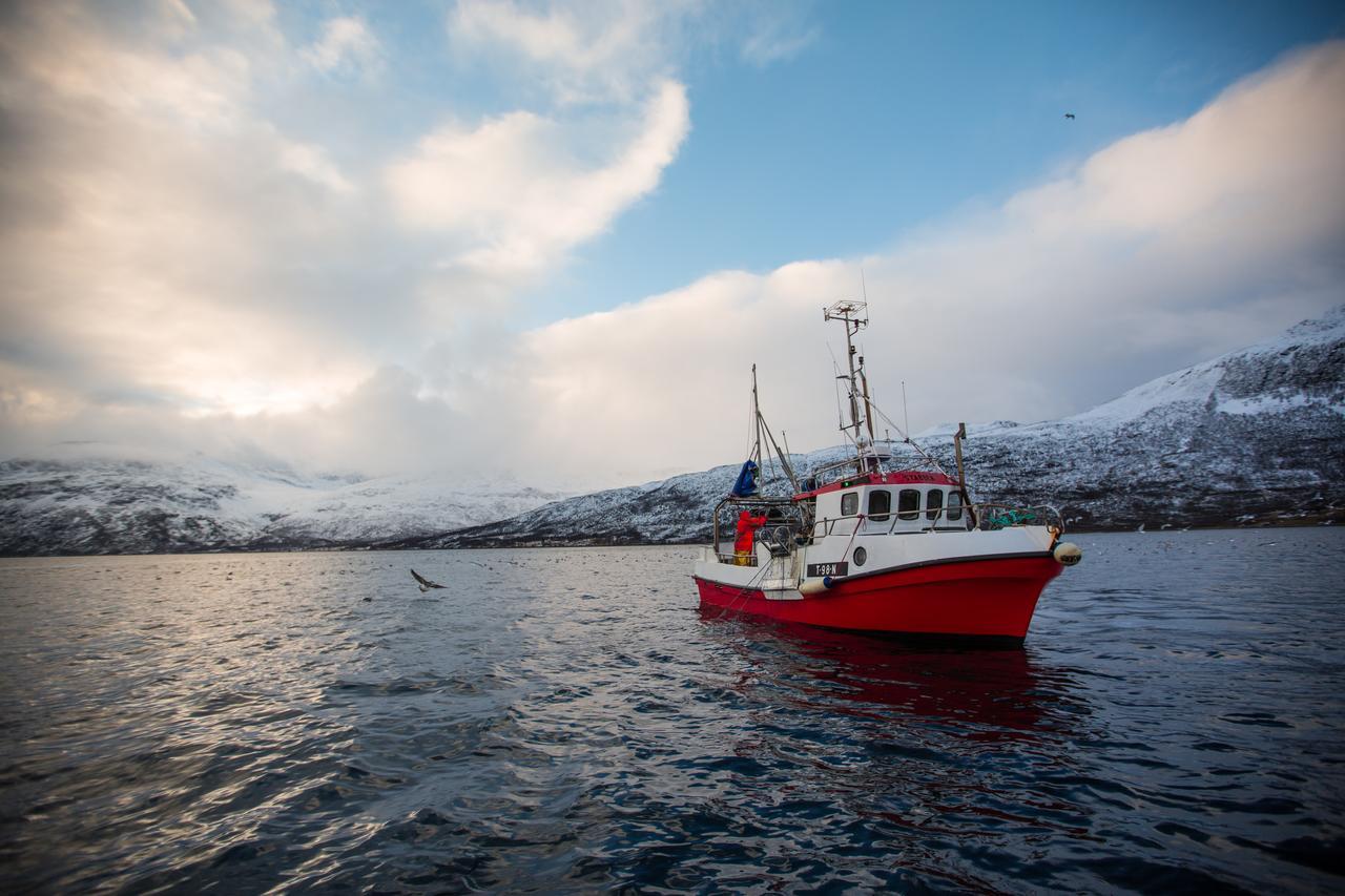 Arctic Panorama Lodge Uloybukta Ngoại thất bức ảnh